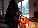 ARBRE DE NOEL 2010